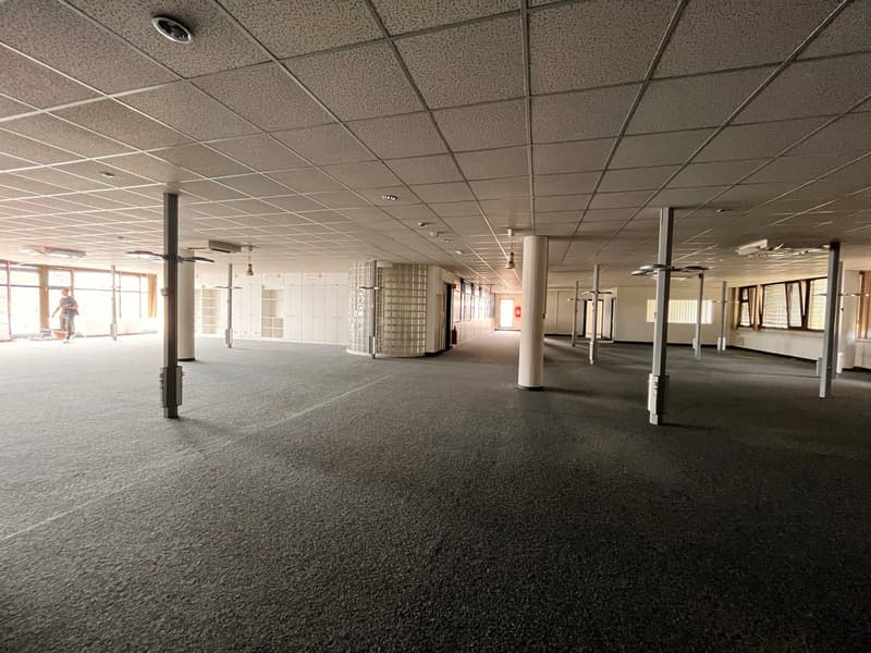 Surface of 605 m2 - Flexible Lease (3)