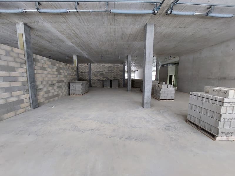 Atelier/dépôt neuf dès 290 m2 - Bail flexible - Proche autoroute (3)