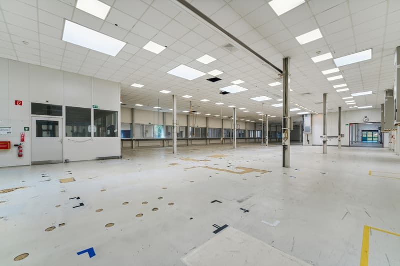 8'400m2 - Logistik/Labor/Fabrik - Eingang zum Wallis (6)