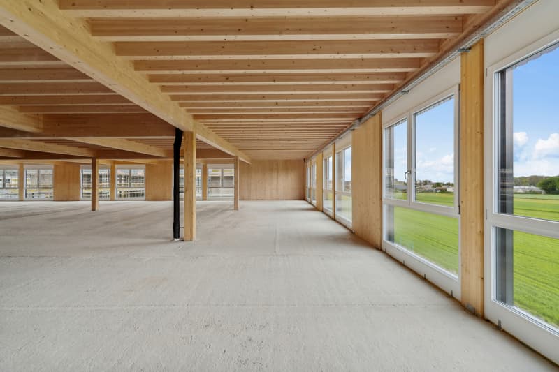New in Gland - Beautiful office space - 600m2 (4)