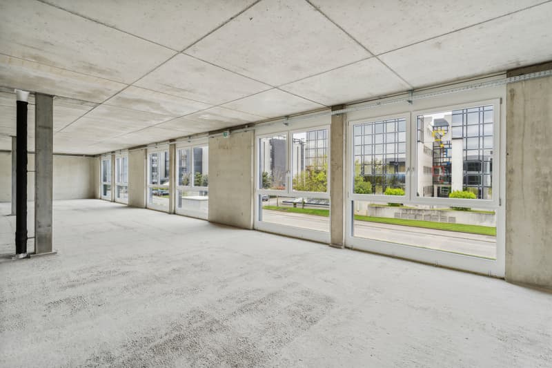 New in Gland - Commercial / industrial area - 300m2 (5)