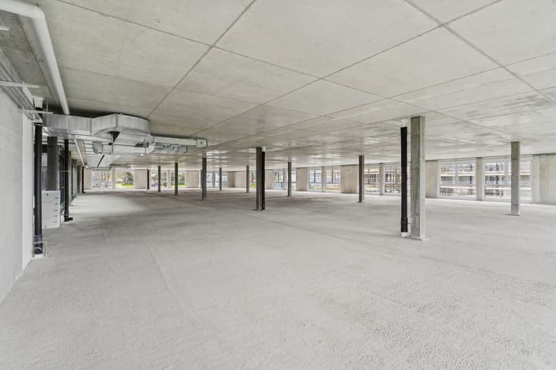 New in Gland - Large commercial space - industrial / 1'200m2 (5)
