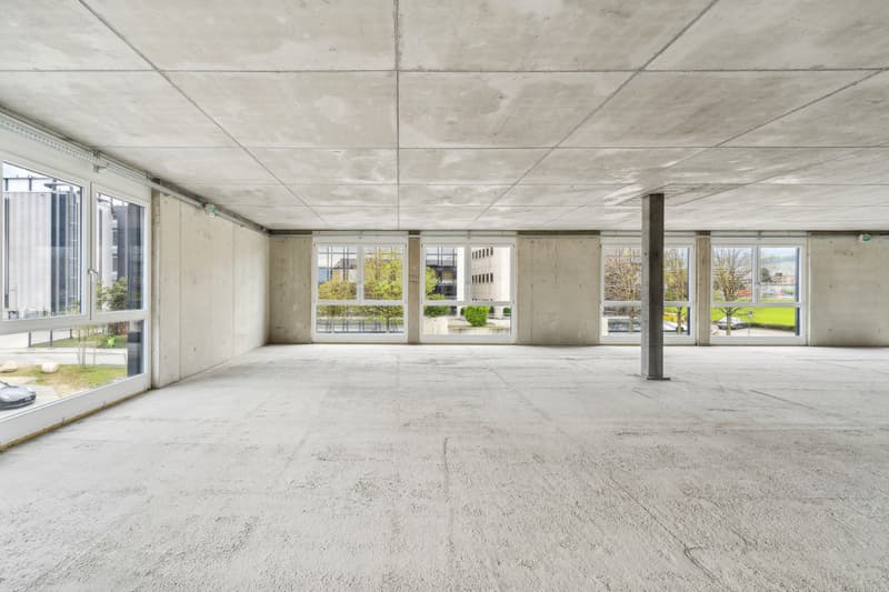 New in Gland - Large commercial space - industrial / 1'200m2 (4)