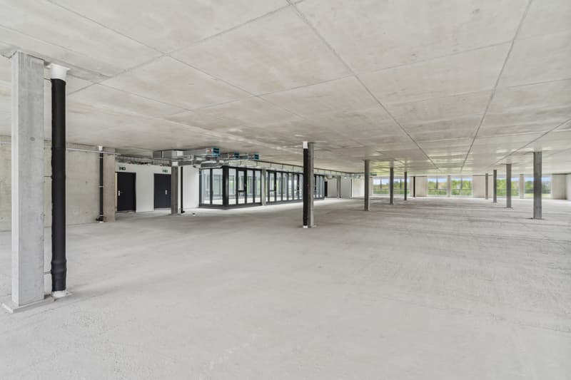 New in Gland - Large commercial space - industrial / 1'200m2 (6)