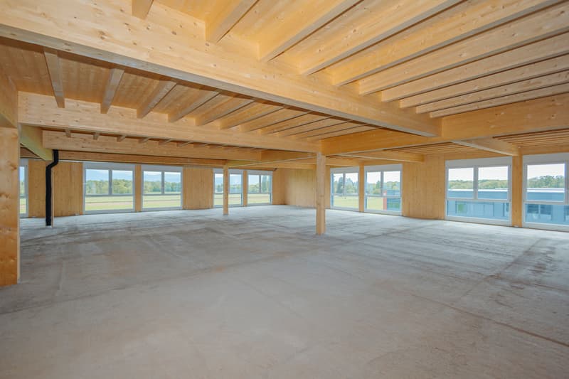 Nuovo a Gland - Grande area amministrativa - ufficio / 1'200m2 (7)