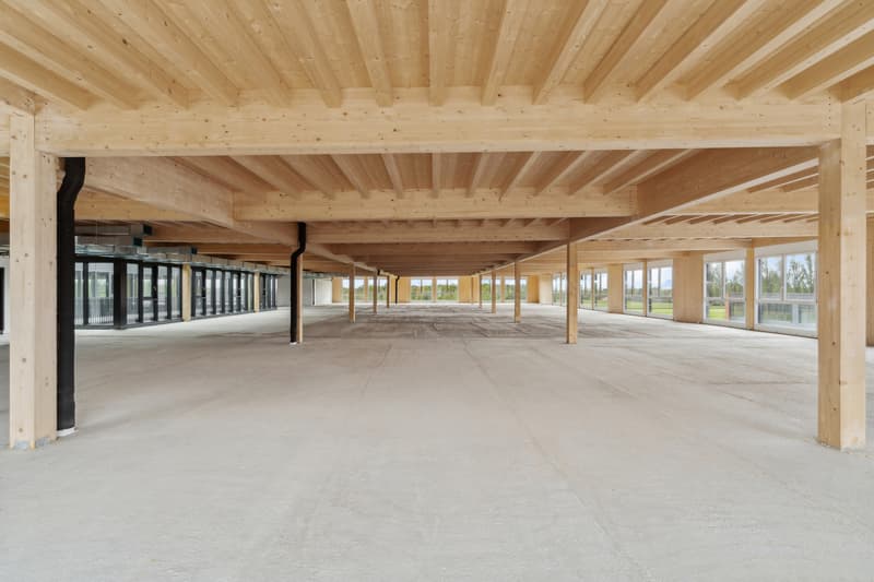 Nuovo a Gland - Grande area amministrativa - ufficio / 1'200m2 (3)