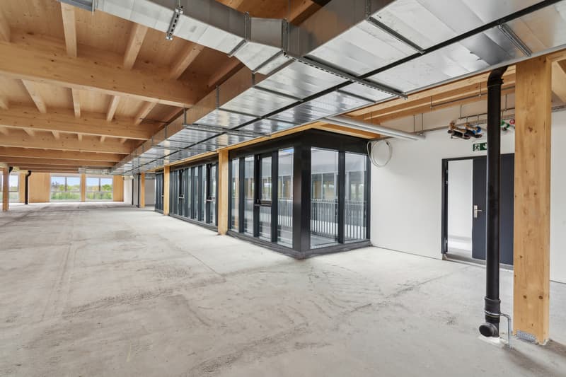 Nuovo a Gland - Grande area amministrativa - ufficio / 1'200m2 (4)