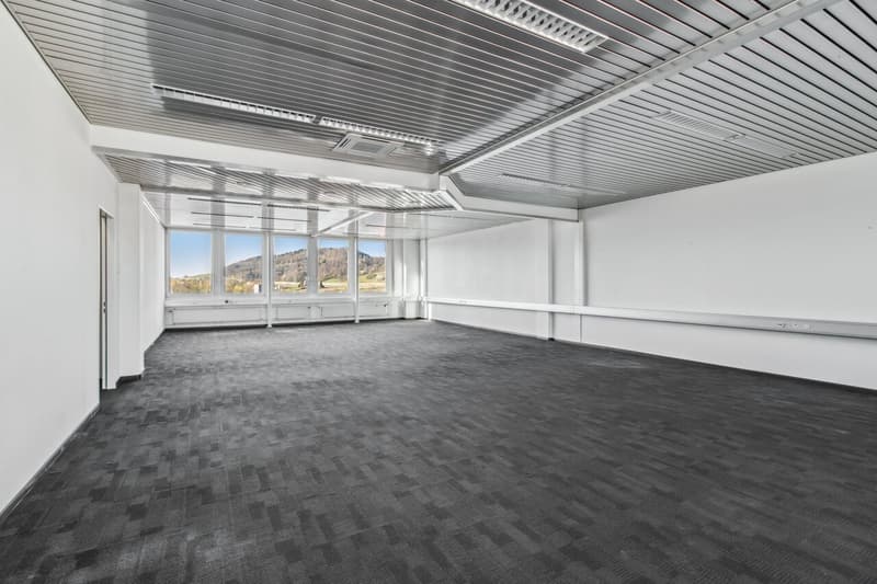 Vetta di Dietikon - Il tuo spazio ufficio con vista spettacolare! (5)