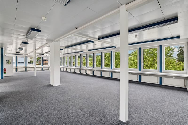 Modern, stylish, and ready for your visions - your new office space! (8)