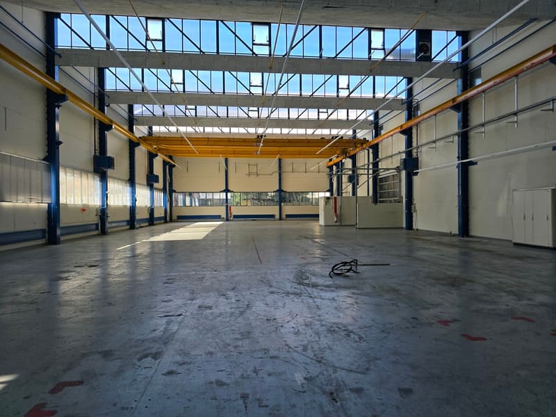 En bordure de Neuchâtel - Halle indsutrielle de 2'500m2 (2)