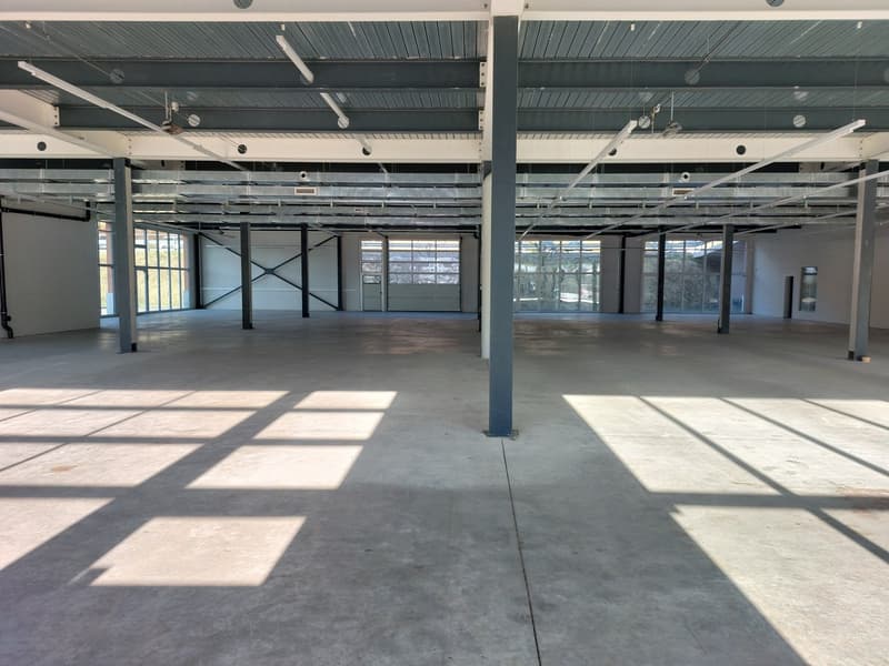 Atelier/dépôt 500m2 à Puidoux - Proche autoroute (4)