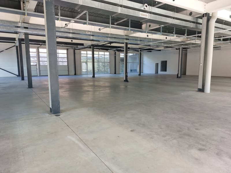Atelier/dépôt 500m2 à Puidoux - Proche autoroute (1)