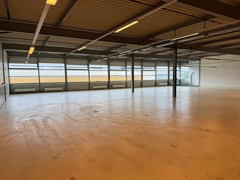 Opportunité - ZI Champ-Colin - belle surface de 690m2 (3 mois offert) (3)