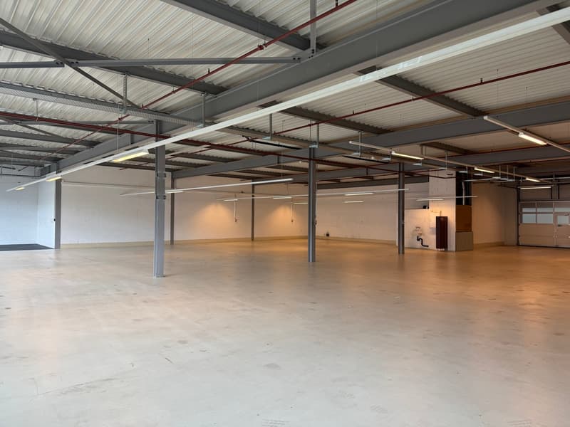Opportunité - ZI Champ-Colin - belle surface de 690m2 (3 mois offert) (5)