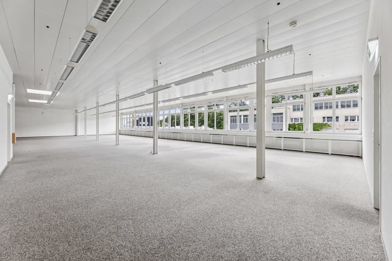 Bright, flexible commercial space in Muri (10)