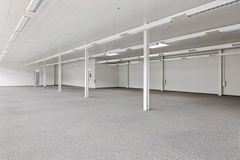 Bright, flexible commercial space in Muri (8)