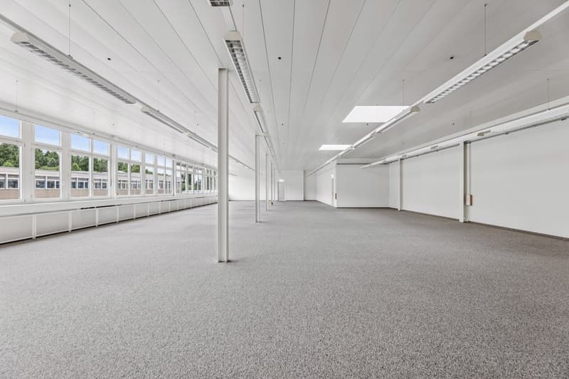 Bright, flexible commercial space in Muri (7)