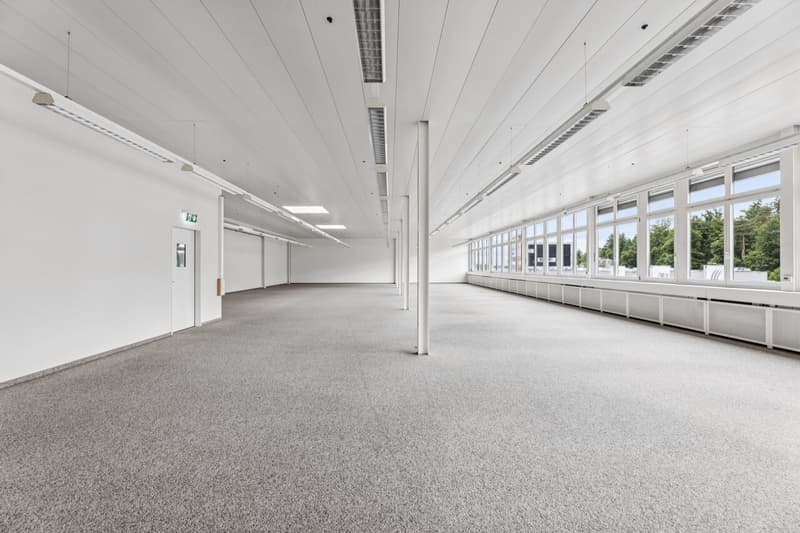Bright, flexible commercial space in Muri (3)
