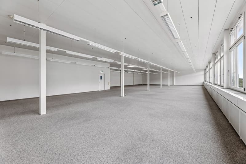 Bright, flexible commercial space in Muri (9)