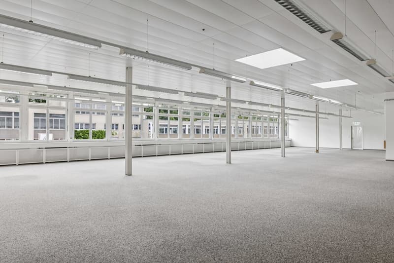 Bright, flexible commercial space in Muri (6)