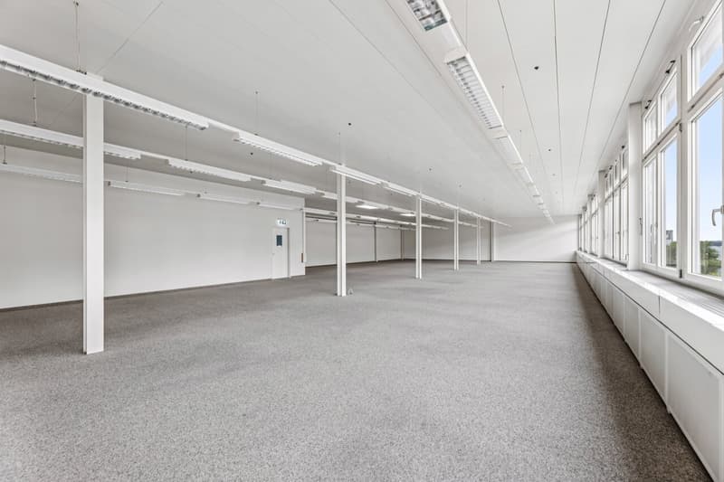 Bright, flexible commercial space in Muri (2)