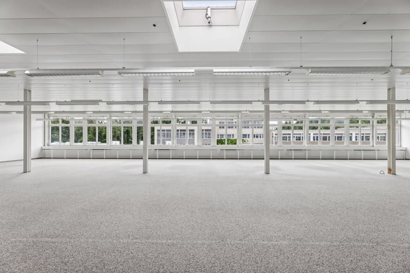 Bright, flexible commercial space in Muri (4)
