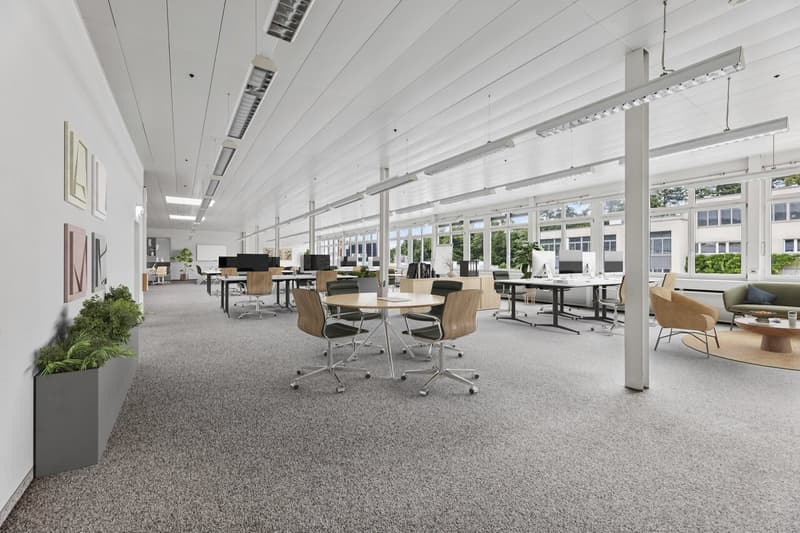 Bright, flexible commercial space in Muri (11)