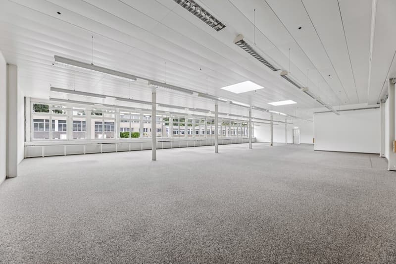 Bright, flexible commercial space in Muri (5)