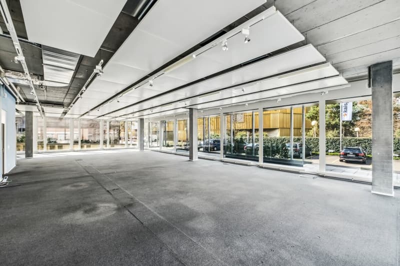 Modern ground floor space in a high-quality office building in Steinhausen (3)