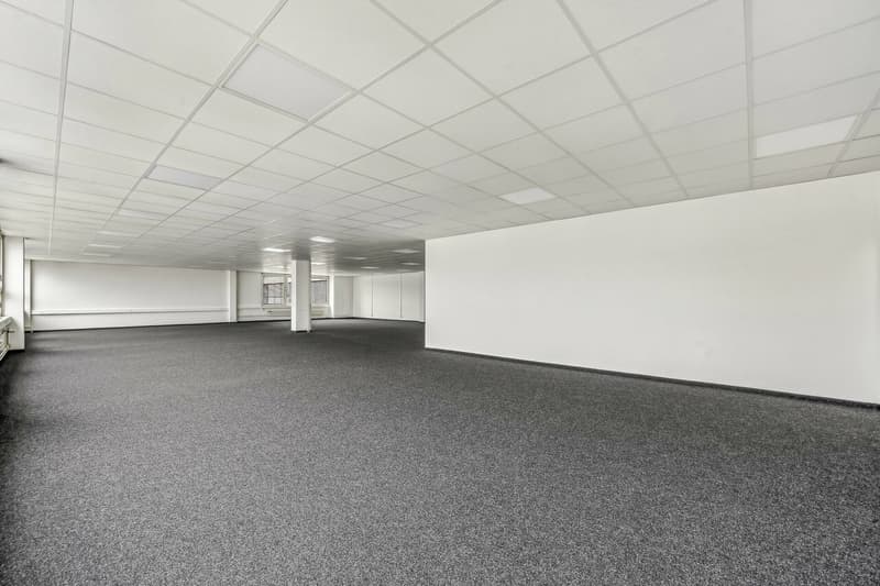 Spazio per idee - nel cuore di Regensdorf (8)