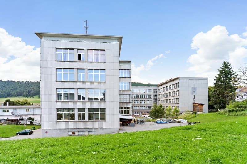 Mixed studio - 3'596m2 on the 3rd floor - rent-free (2)