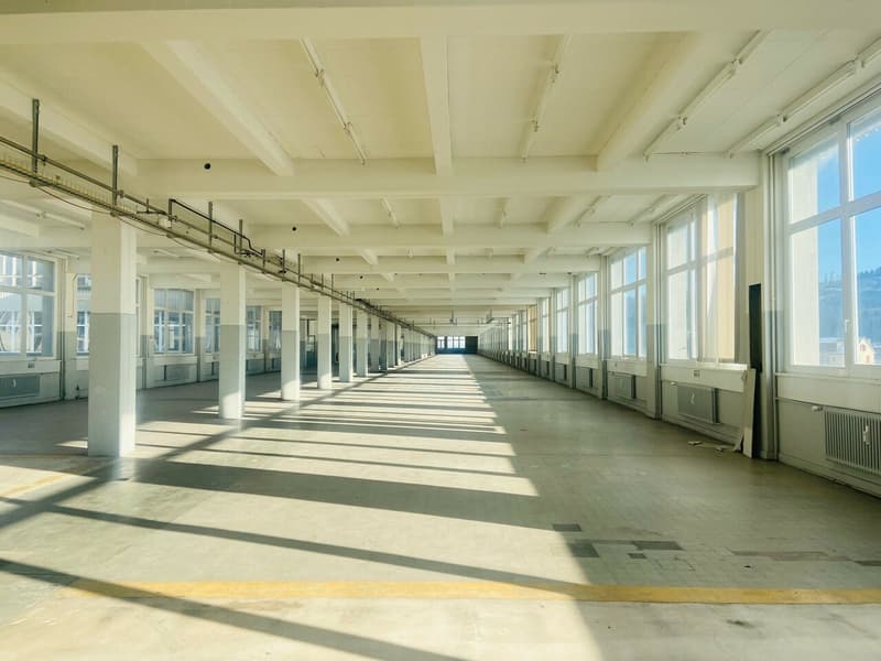 Mixed studio - 3'596m2 on the 3rd floor - rent-free (4)