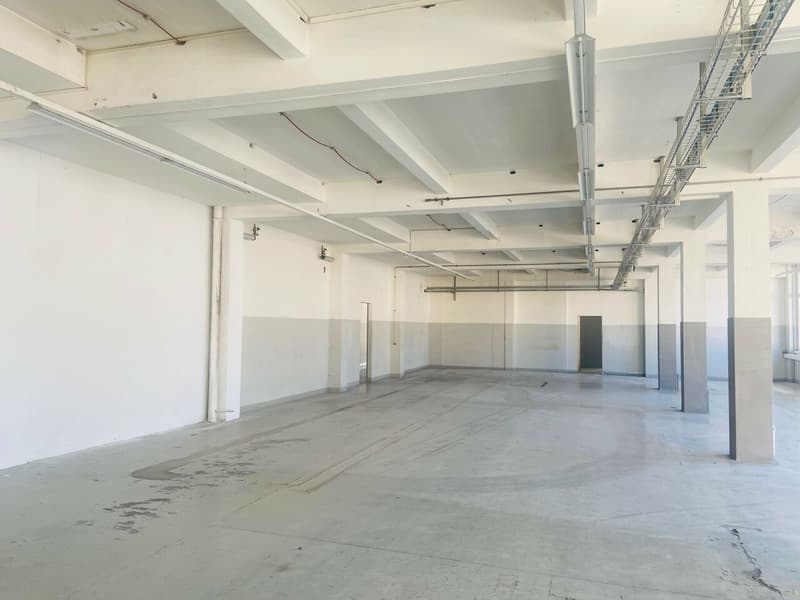 Mixed studio - 3'596m2 on the 3rd floor - rent-free (6)