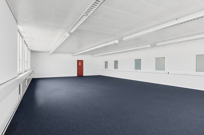 Spazio commerciale flessibile con luce diurna (10)