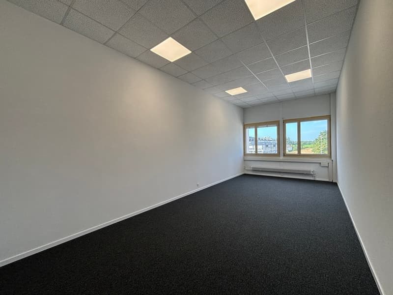 Uffici "plug & play" di 31m2 molto ben situati a Gland (4)