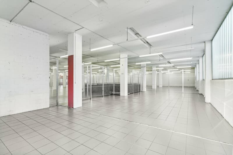 262m2 di spazio magazzino in posizione ideale vicino all'A14 (13)