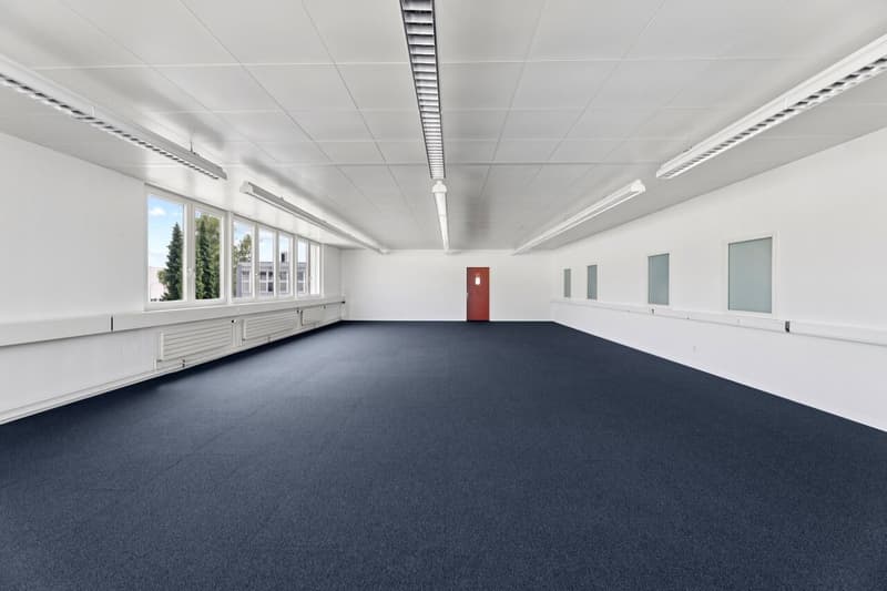 Flexible commercial space with daylight (8)