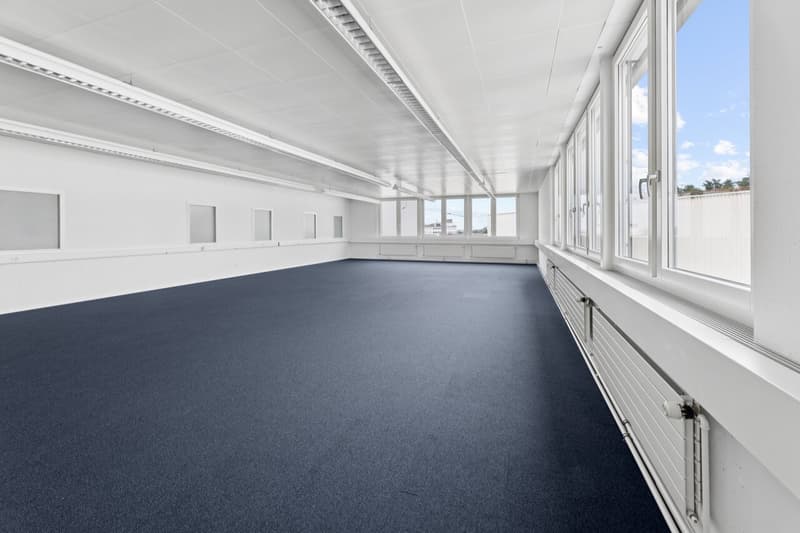 Flexible commercial space with daylight (3)