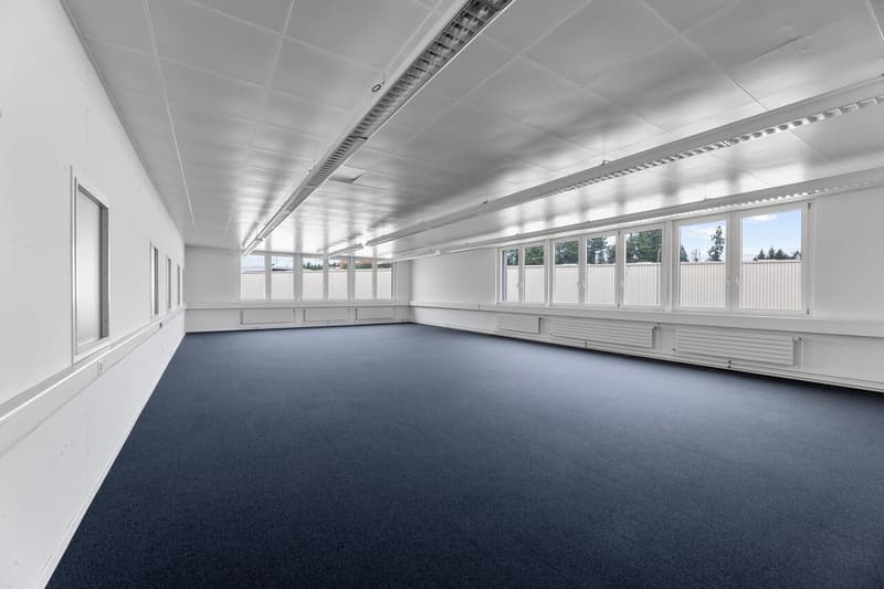 Flexible commercial space with daylight (4)