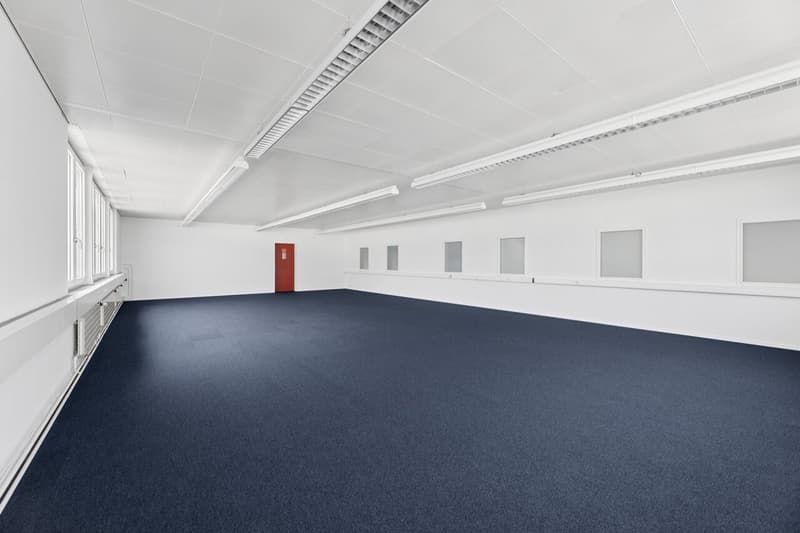 Flexible commercial space with daylight (9)