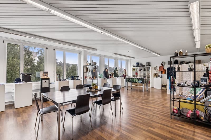 Votre nouveau bureau avec une vue lointaine - inspirant et diversifié ! (3)