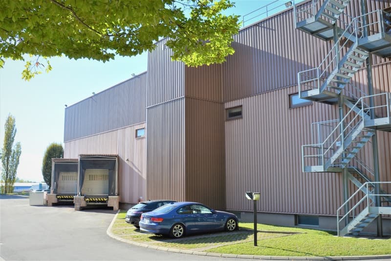 Grand dépôt 315m2 - Hauteur 5m - Bail flexible - Bon accès camion (4)