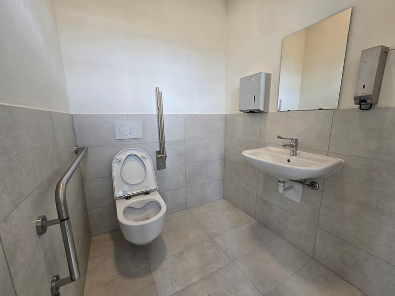 Excellente situation - Atelier / dépôt - 288m² - Crissier (8)