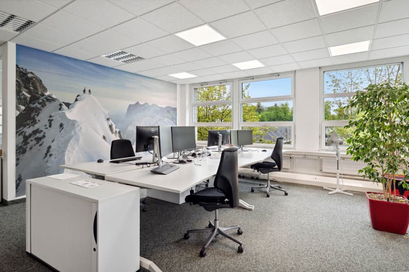 Mammut Areal Seon - Gewerbeliegenschaft für Industrie, Logistik & Büro (2)