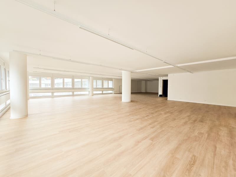 Ufficio rinnovato di 230m2 - Centro città di Losanna (4)