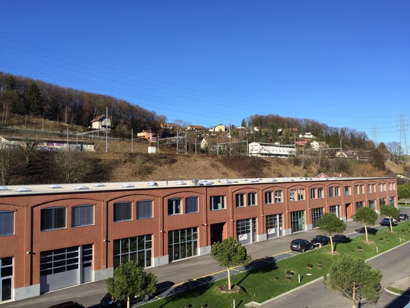 Laboratorio 1176m2 - Accesso camion/furgone - Vicino autostrada (7)