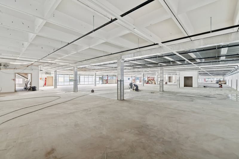Dépôt de 2'900 m² à louer - Onnens (4)