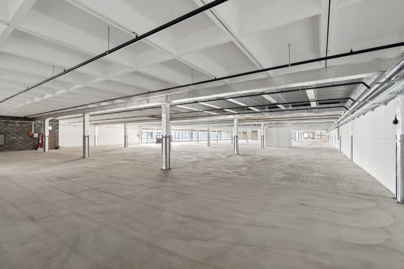 Dépôt de 4420 m² à louer - Onnens (4)