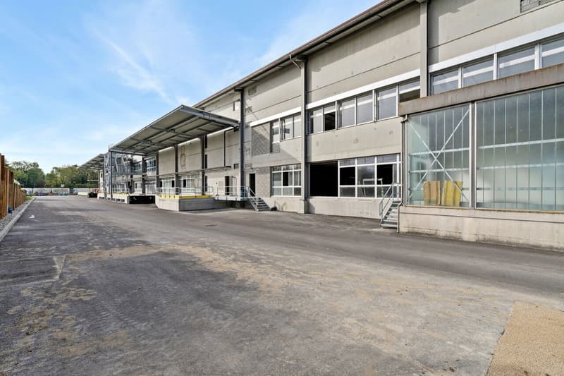 Dépôt de 4420 m² à louer - Onnens (5)