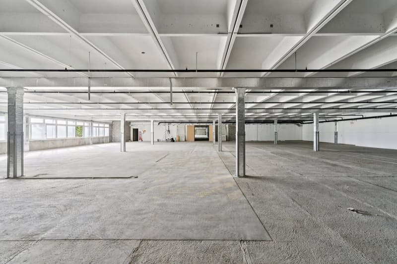 Dépôt de 2200 m² à louer - Onnens (3)
